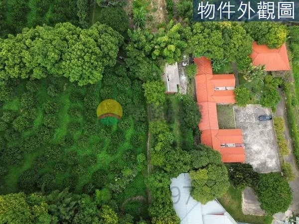 新埔農地地王柑橘果園